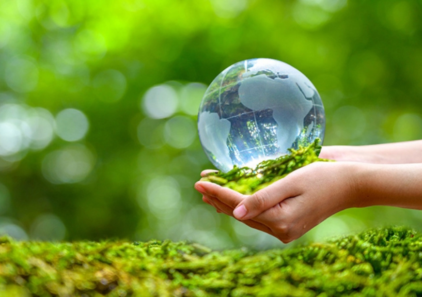 The World Population Day 2022: A new development paradigm for a resilient future